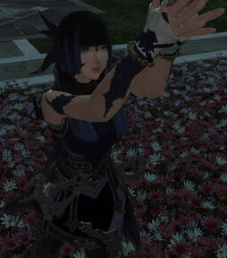 Ninja Glam.