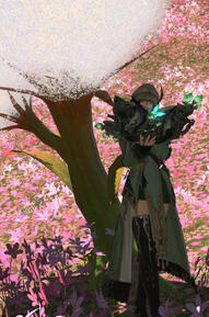 Scholar Glam.